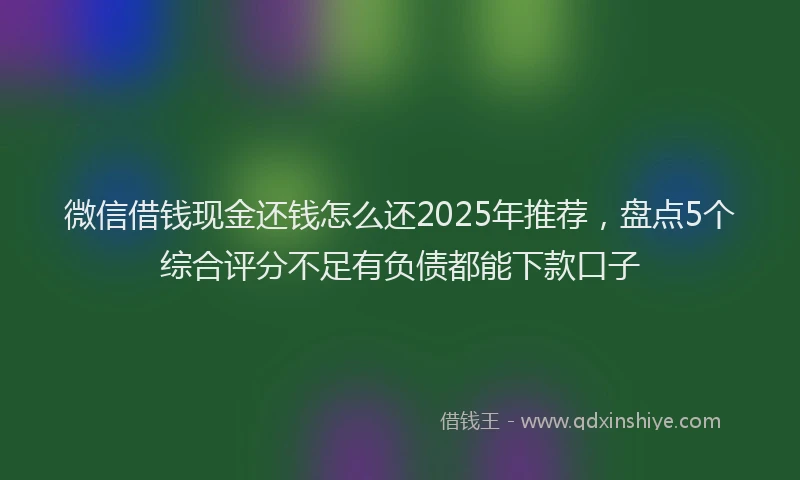 微信借钱现金还钱怎么还2025年推荐，盘点5个综合评分不足有负债都能下款口子
