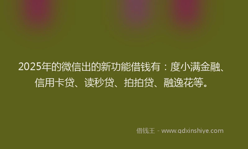2025年的微信出的新功能借钱有：度小满金融、信用卡贷、读秒贷、拍拍贷、融逸花等。