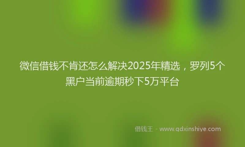 微信借钱不肯还怎么解决2025年精选，罗列5个黑户当前逾期秒下5万平台