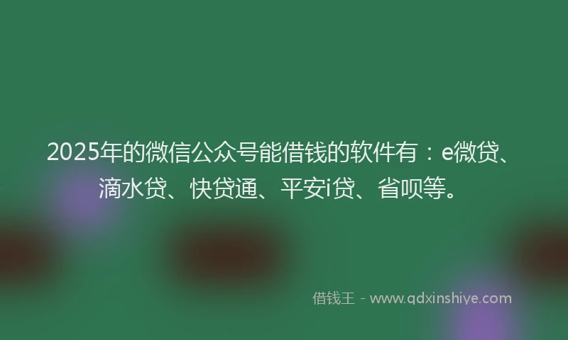 2025年的微信公众号能借钱的软件有：e微贷、滴水贷、快贷通、平安i贷、省呗等。