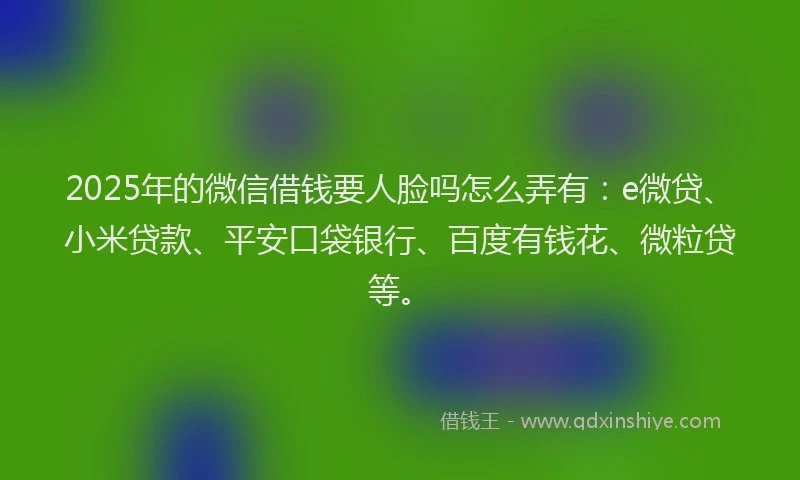 2025年的微信借钱要人脸吗怎么弄有：e微贷、小米贷款、平安口袋银行、百度有钱花、微粒贷等。