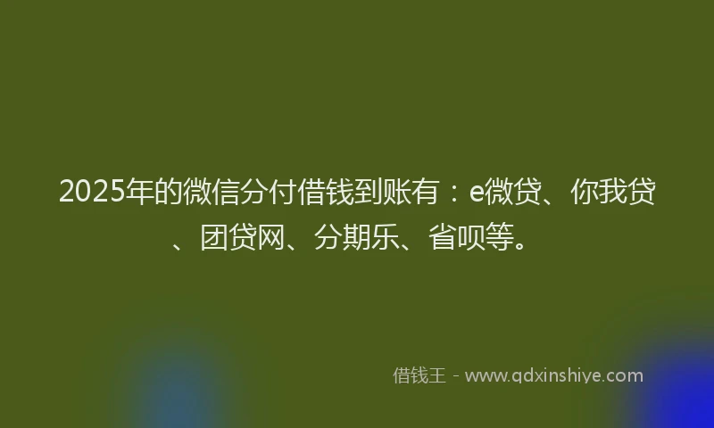 2025年的微信分付借钱到账有：e微贷、你我贷、团贷网、分期乐、省呗等。