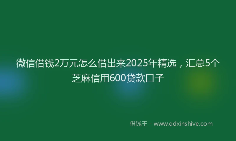 微信借钱2万元怎么借出来2025年精选，汇总5个芝麻信用600贷款口子