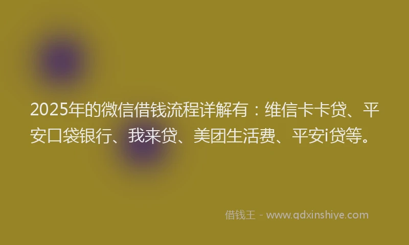 2025年的微信借钱流程详解有：维信卡卡贷、平安口袋银行、我来贷、美团生活费、平安i贷等。