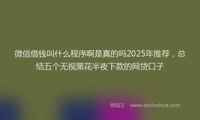 微信借钱叫什么程序啊是真的吗2025年推荐，总结五个无视黑花半夜下款的网贷口子