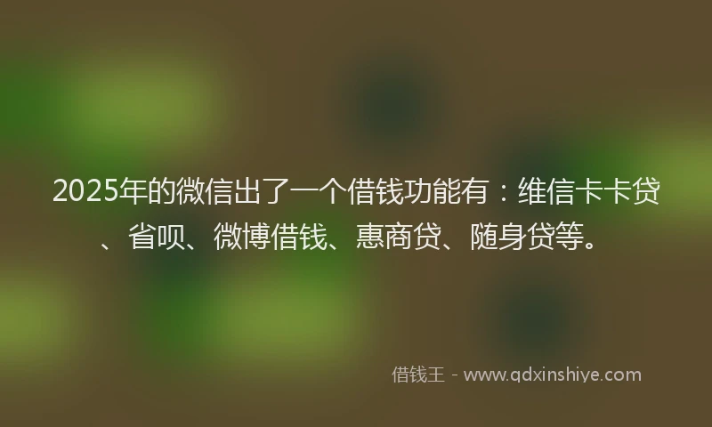 2025年的微信出了一个借钱功能有：维信卡卡贷、省呗、微博借钱、惠商贷、随身贷等。