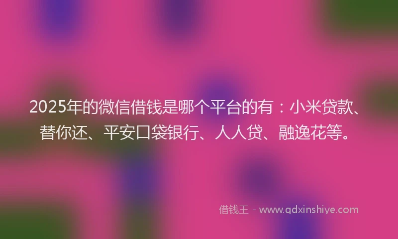 2025年的微信借钱是哪个平台的有：小米贷款、替你还、平安口袋银行、人人贷、融逸花等。