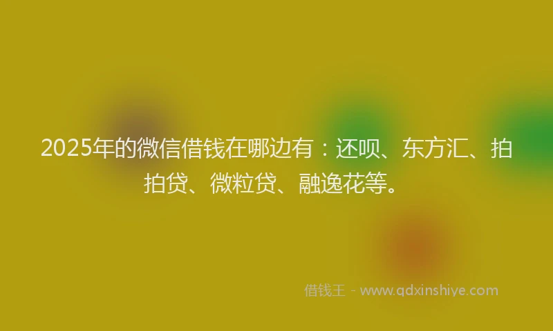 2025年的微信借钱在哪边有：还呗、东方汇、拍拍贷、微粒贷、融逸花等。