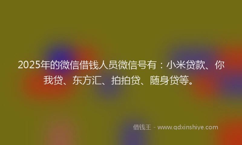 2025年的微信借钱人员微信号有：小米贷款、你我贷、东方汇、拍拍贷、随身贷等。