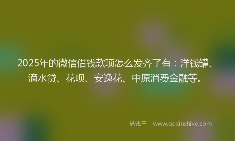 2025年的微信借钱款项怎么发齐了有：洋钱罐、滴水贷、花呗、安逸花、中原消费金融等。