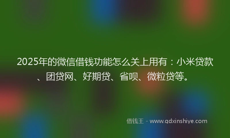 2025年的微信借钱功能怎么关上用有：小米贷款、团贷网、好期贷、省呗、微粒贷等。