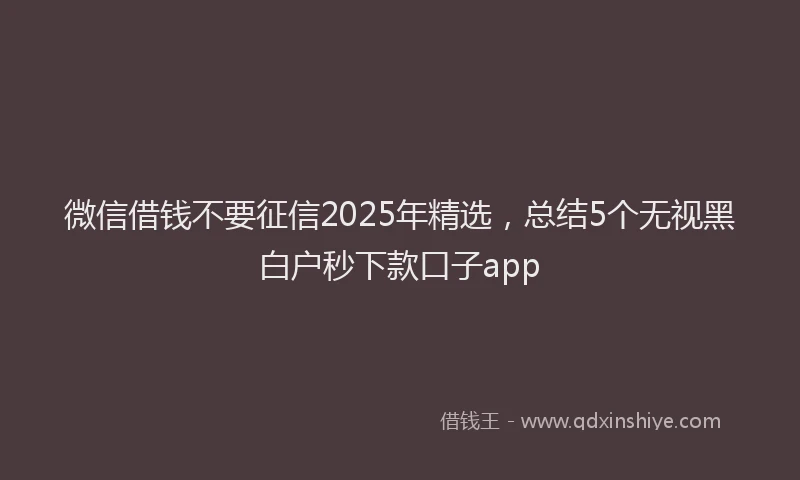 微信借钱不要征信2025年精选，总结5个无视黑白户秒下款口子app