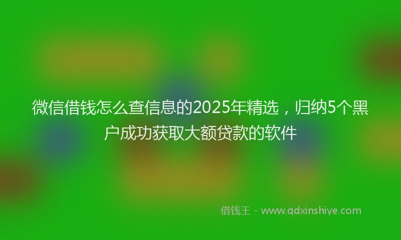 微信借钱怎么查信息的2025年精选，归纳5个黑户成功获取大额贷款的软件