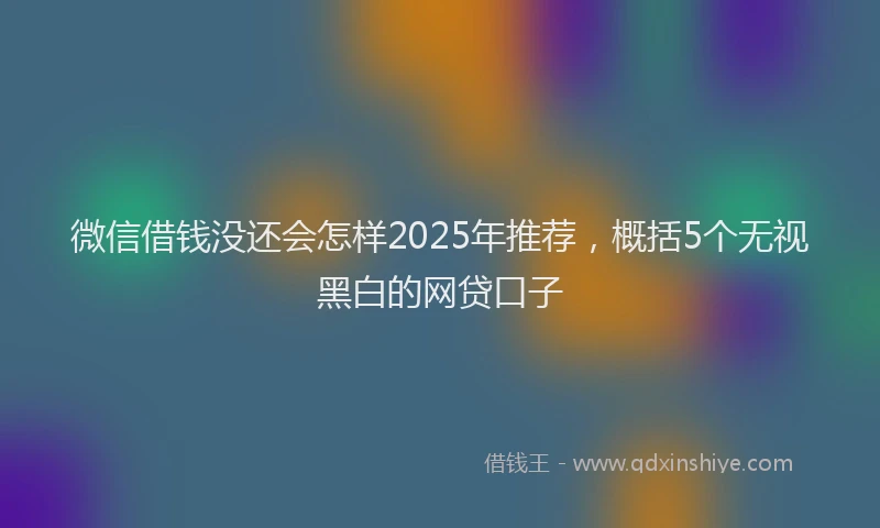 微信借钱没还会怎样2025年推荐，概括5个无视黑白的网贷口子