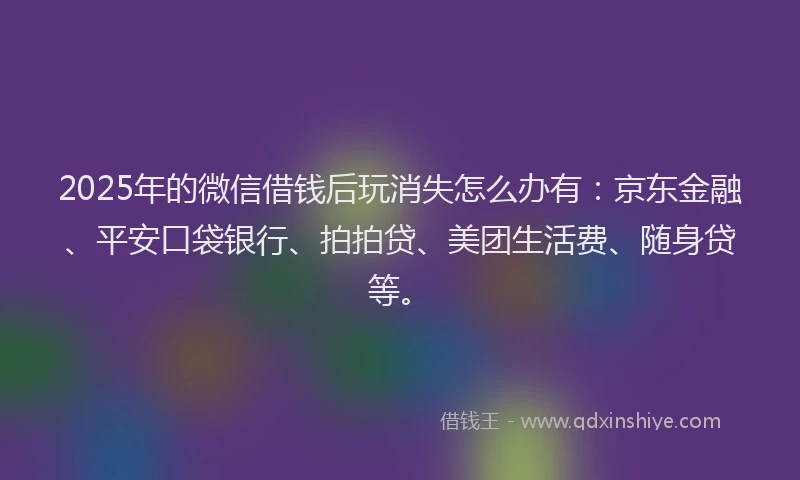 2025年的微信借钱后玩消失怎么办有：京东金融、平安口袋银行、拍拍贷、美团生活费、随身贷等。