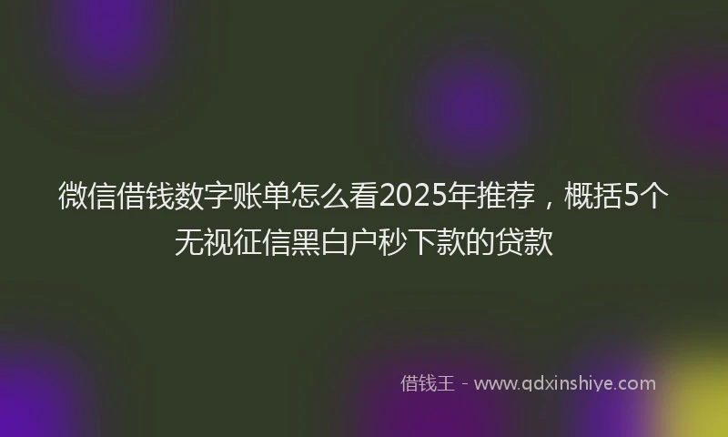 微信借钱数字账单怎么看2025年推荐，概括5个无视征信黑白户秒下款的贷款