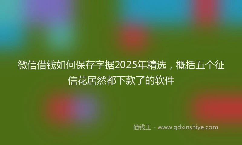 微信借钱如何保存字据2025年精选，概括五个征信花居然都下款了的软件