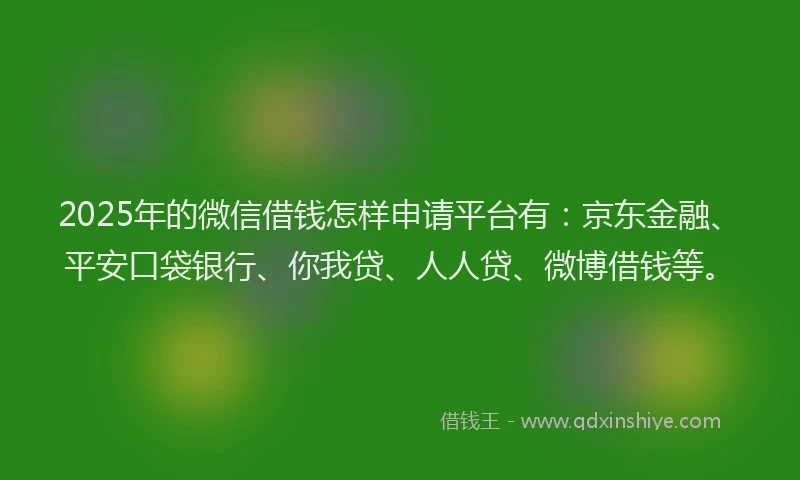 2025年的微信借钱怎样申请平台有：京东金融、平安口袋银行、你我贷、人人贷、微博借钱等。