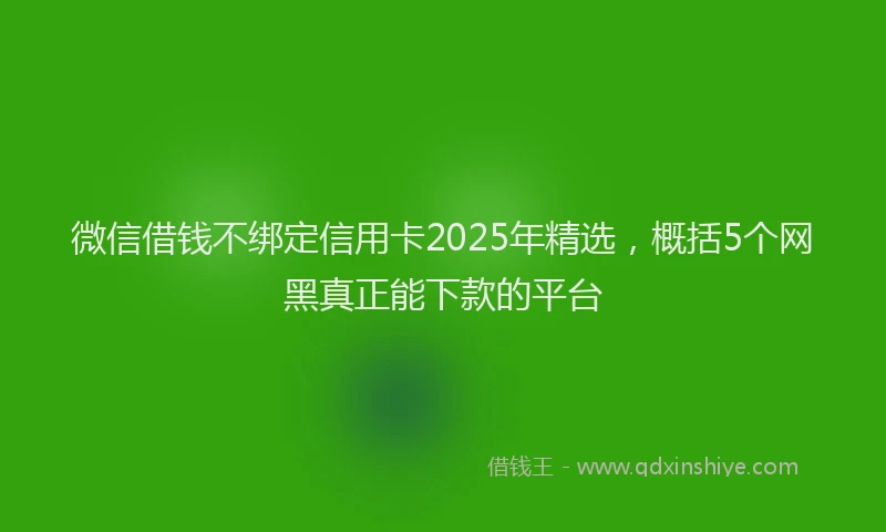 微信借钱不绑定信用卡2025年精选，概括5个网黑真正能下款的平台
