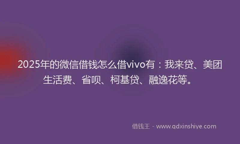2025年的微信借钱怎么借vivo有：我来贷、美团生活费、省呗、柯基贷、融逸花等。