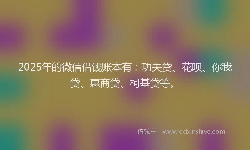 2025年的微信借钱账本有：功夫贷、花呗、你我贷、惠商贷、柯基贷等。
