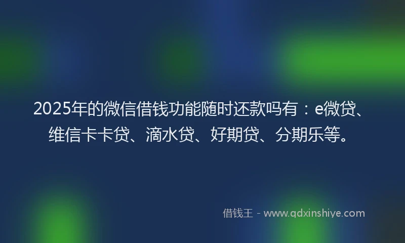 2025年的微信借钱功能随时还款吗有：e微贷、维信卡卡贷、滴水贷、好期贷、分期乐等。