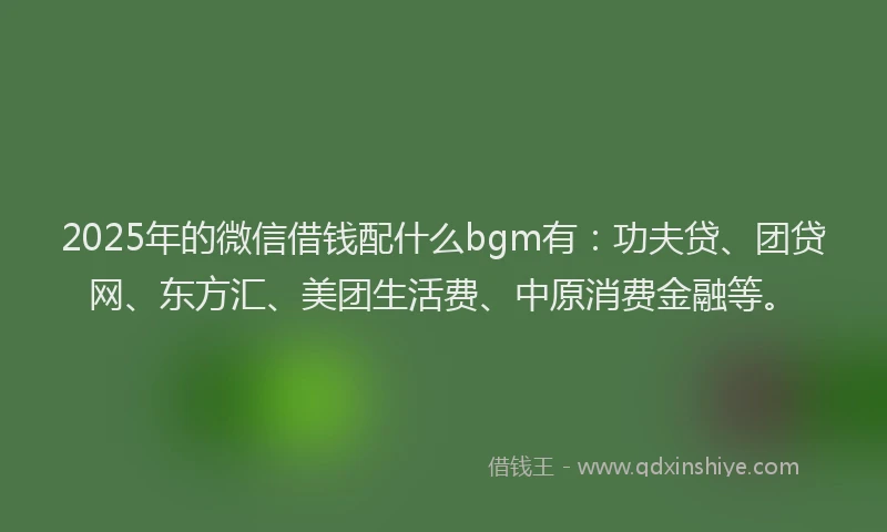 2025年的微信借钱配什么bgm有：功夫贷、团贷网、东方汇、美团生活费、中原消费金融等。