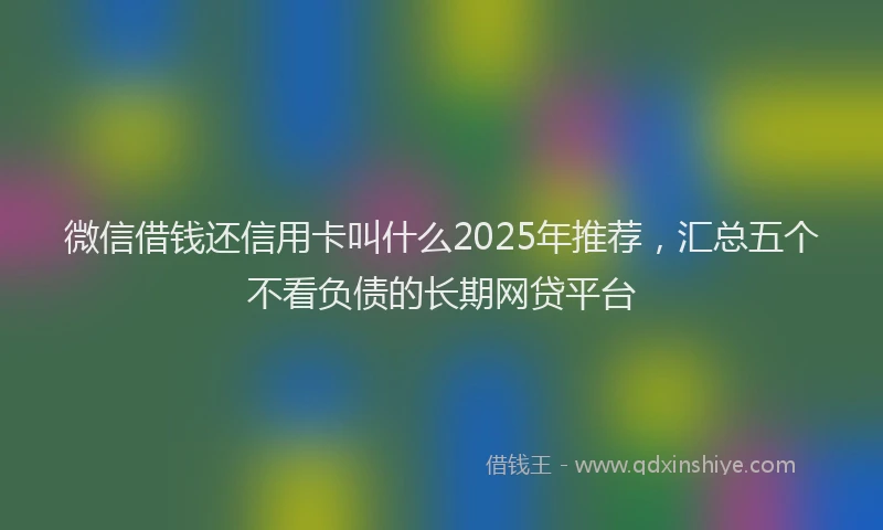 微信借钱还信用卡叫什么2025年推荐，汇总五个不看负债的长期网贷平台