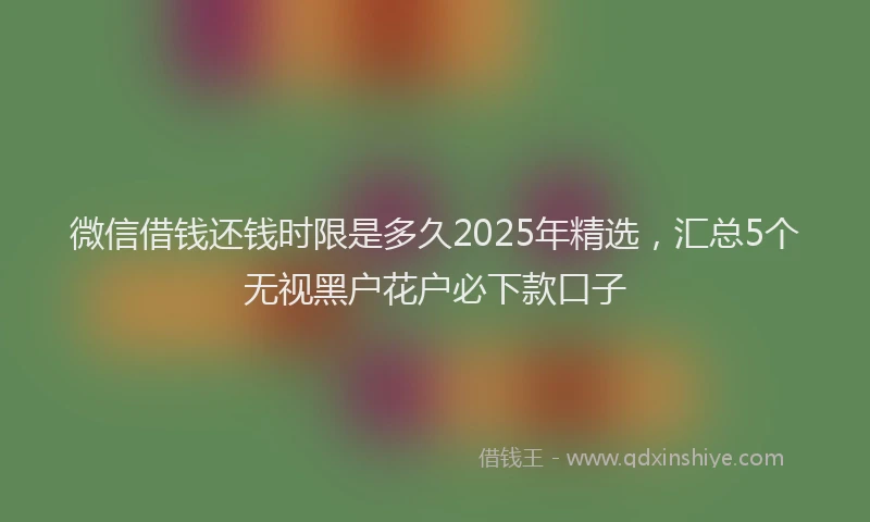 微信借钱还钱时限是多久2025年精选，汇总5个无视黑户花户必下款口子