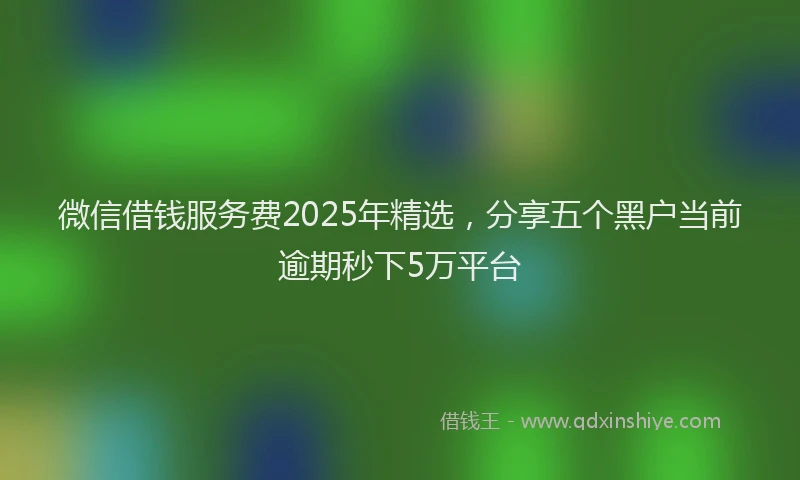 微信借钱服务费2025年精选，分享五个黑户当前逾期秒下5万平台