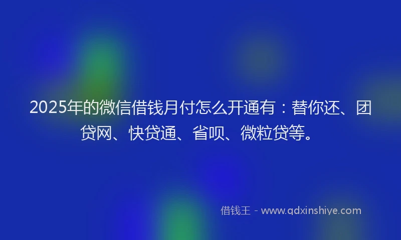 2025年的微信借钱月付怎么开通有：替你还、团贷网、快贷通、省呗、微粒贷等。