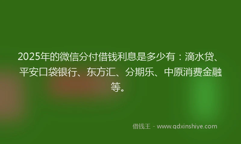 2025年的微信分付借钱利息是多少有：滴水贷、平安口袋银行、东方汇、分期乐、中原消费金融等。