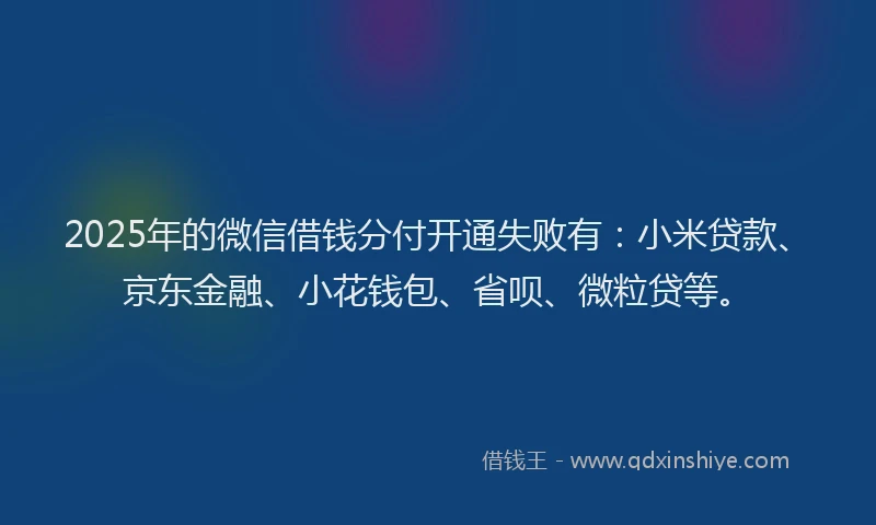 2025年的微信借钱分付开通失败有：小米贷款、京东金融、小花钱包、省呗、微粒贷等。