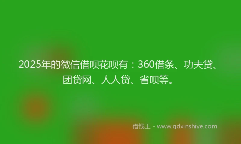 2025年的微信借呗花呗有：360借条、功夫贷、团贷网、人人贷、省呗等。