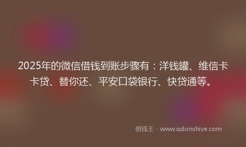 2025年的微信借钱到账步骤有：洋钱罐、维信卡卡贷、替你还、平安口袋银行、快贷通等。