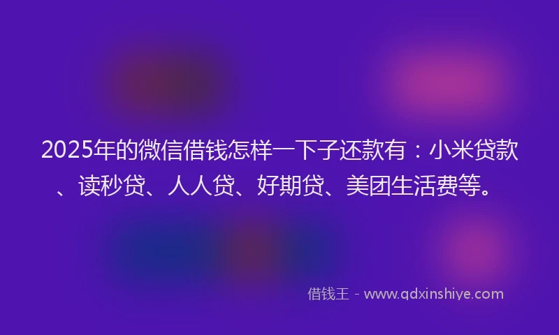 2025年的微信借钱怎样一下子还款有：小米贷款、读秒贷、人人贷、好期贷、美团生活费等。
