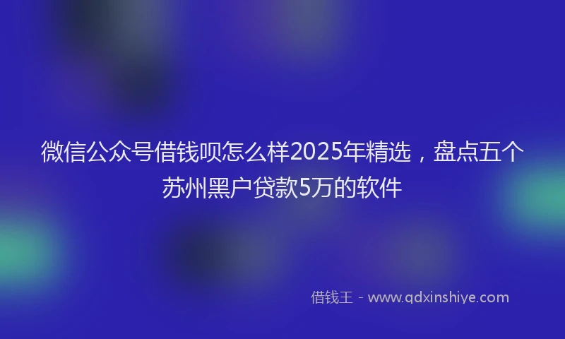微信公众号借钱呗怎么样2025年精选，盘点五个苏州黑户贷款5万的软件