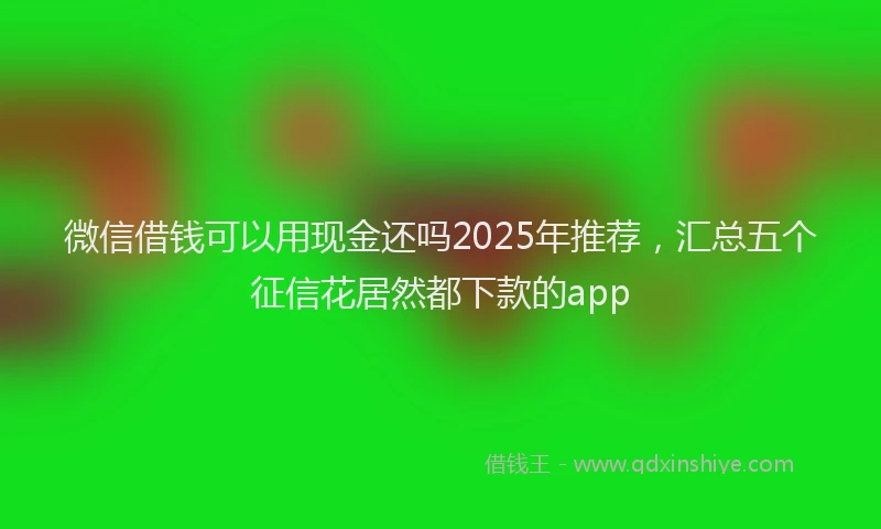 微信借钱可以用现金还吗2025年推荐，汇总五个征信花居然都下款的app