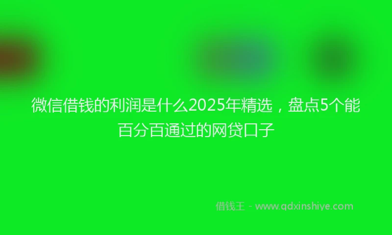 微信借钱的利润是什么2025年精选，盘点5个能百分百通过的网贷口子