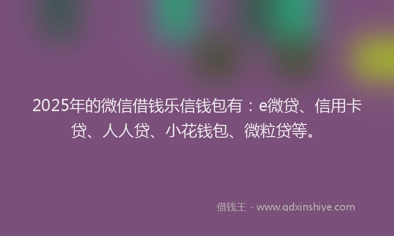 2025年的微信借钱乐信钱包有：e微贷、信用卡贷、人人贷、小花钱包、微粒贷等。