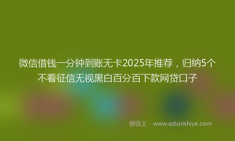 微信借钱一分钟到账无卡2025年推荐，归纳5个不看征信无视黑白百分百下款网贷口子