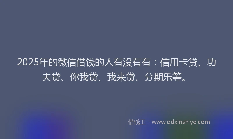 2025年的微信借钱的人有没有有：信用卡贷、功夫贷、你我贷、我来贷、分期乐等。