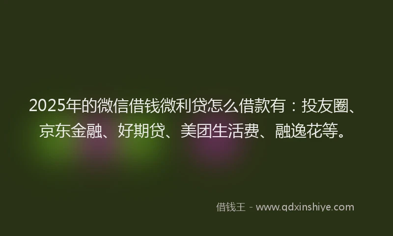 2025年的微信借钱微利贷怎么借款有：投友圈、京东金融、好期贷、美团生活费、融逸花等。