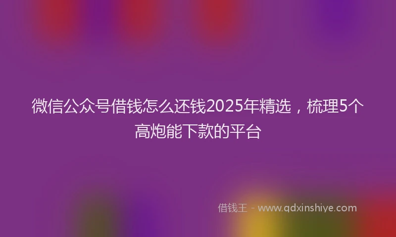 微信公众号借钱怎么还钱2025年精选，梳理5个高炮能下款的平台