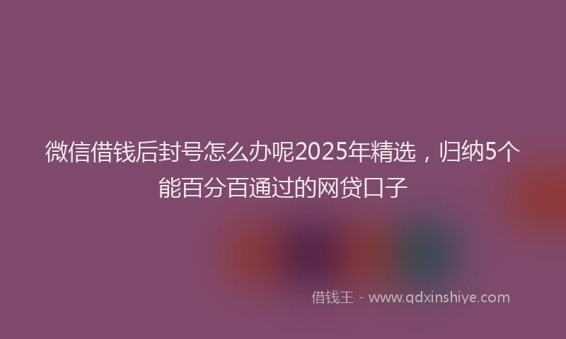 微信借钱后封号怎么办呢2025年精选，归纳5个能百分百通过的网贷口子
