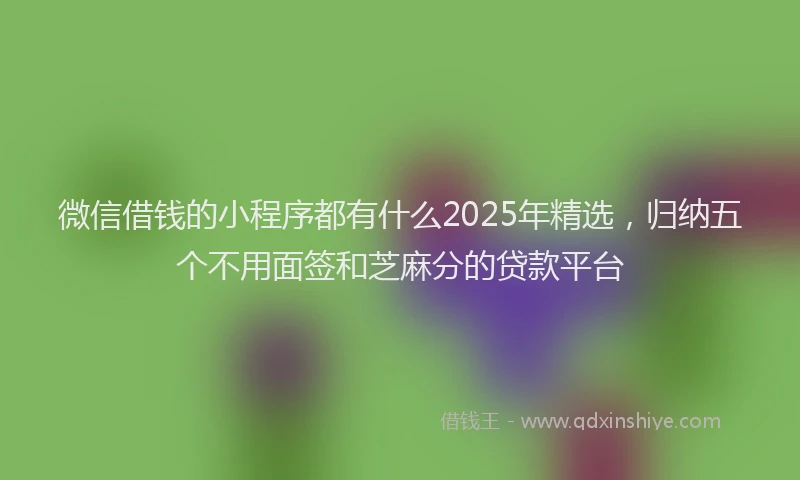 微信借钱的小程序都有什么2025年精选，归纳五个不用面签和芝麻分的贷款平台