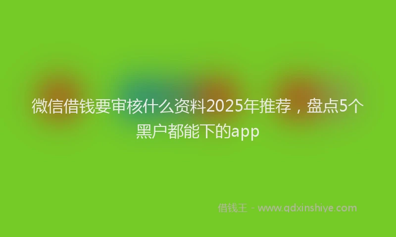 微信借钱要审核什么资料2025年推荐，盘点5个黑户都能下的app