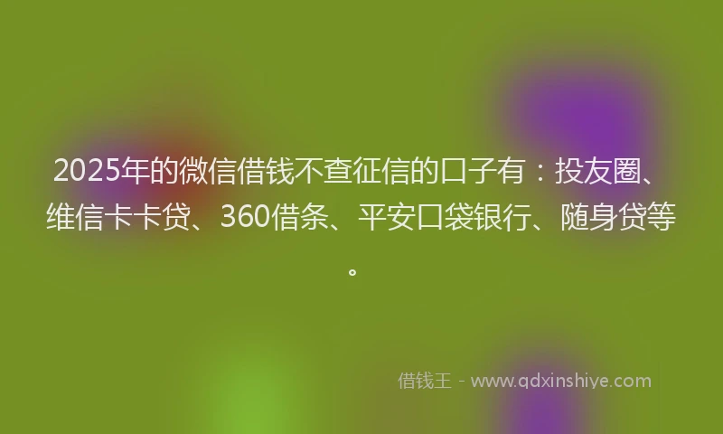 2025年的微信借钱不查征信的口子有：投友圈、维信卡卡贷、360借条、平安口袋银行、随身贷等。