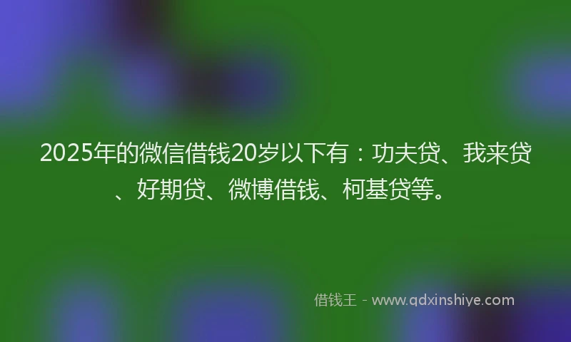 2025年的微信借钱20岁以下有：功夫贷、我来贷、好期贷、微博借钱、柯基贷等。