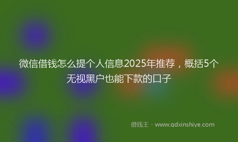 微信借钱怎么提个人信息2025年推荐，概括5个无视黑户也能下款的口子